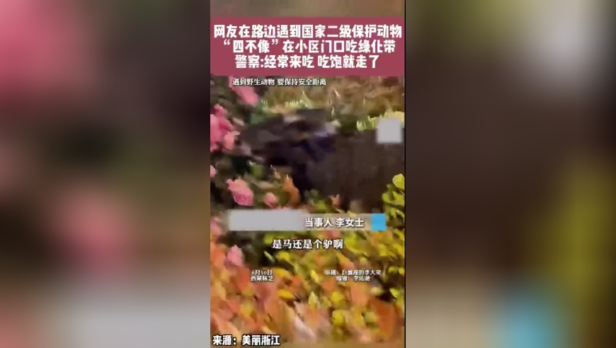 特朗普指定加密貨幣納入儲(chǔ)備,2025新奧歷史開獎(jiǎng)記錄澳門一碼一肖一特一中新澳彩資料免費(fèi)長(zhǎng)期公開二四六,國(guó)產(chǎn)化作答解釋落實(shí)_iPadV12.86